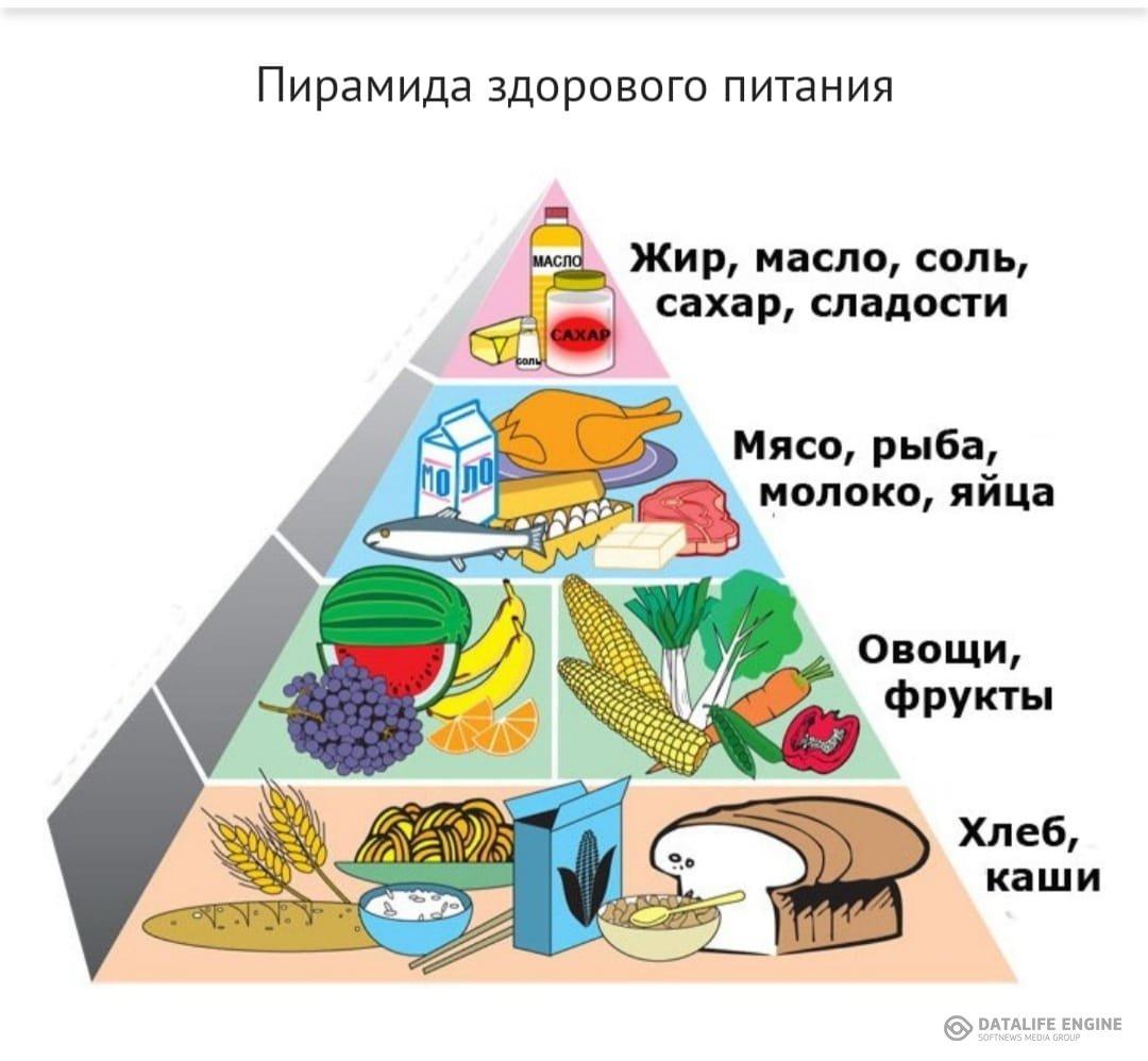 "Дұрыс тамақтану- пайдалы тағамдарды пайдалану".