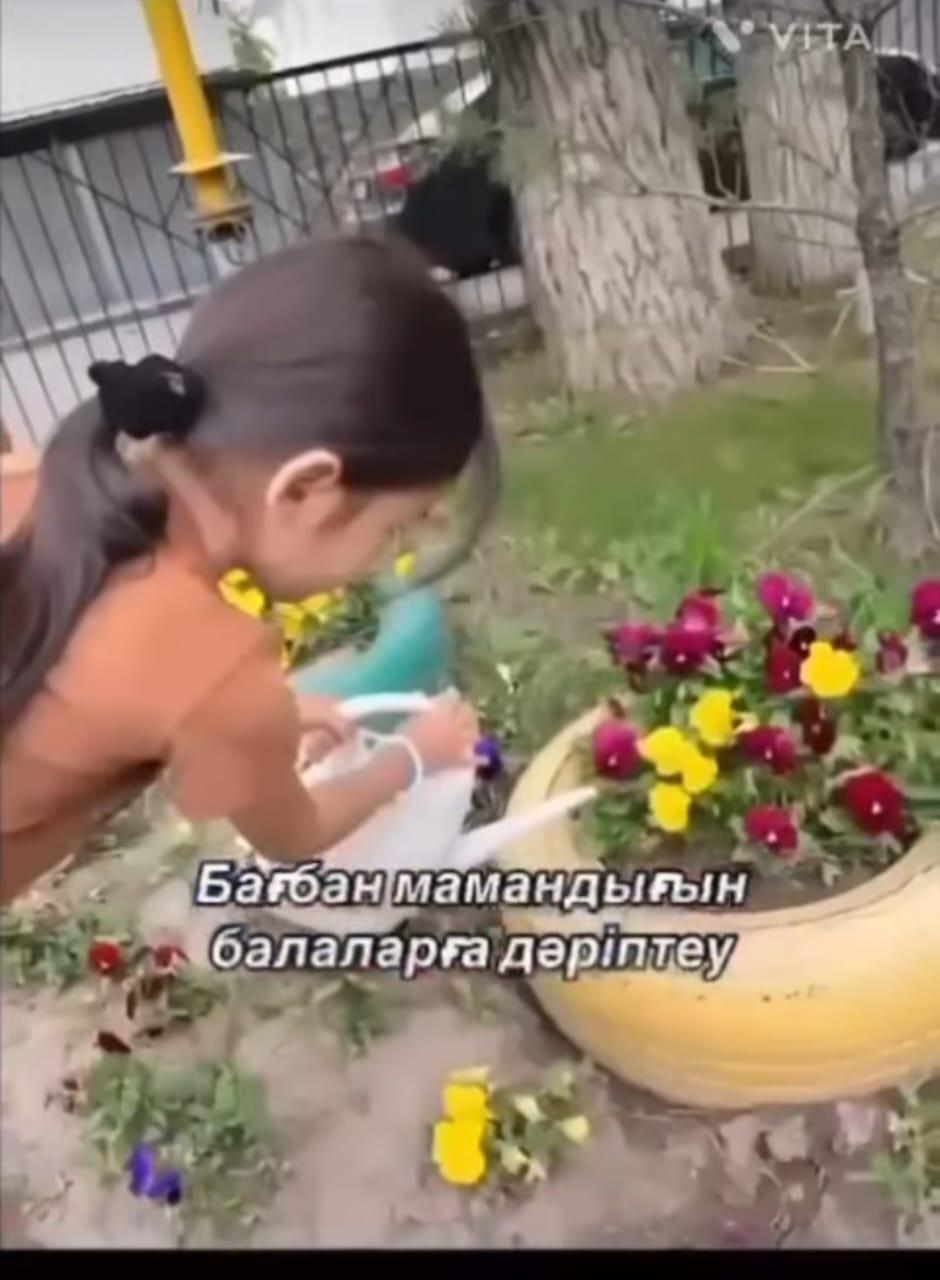 30.05.2025ж 🌱 “Атамекен” лагеріндегі – “Агрономия күні”  Бүгін балалар агроном мамандығымен танысып, ауыл шаруашылығы әлеміне саяхат жасады.